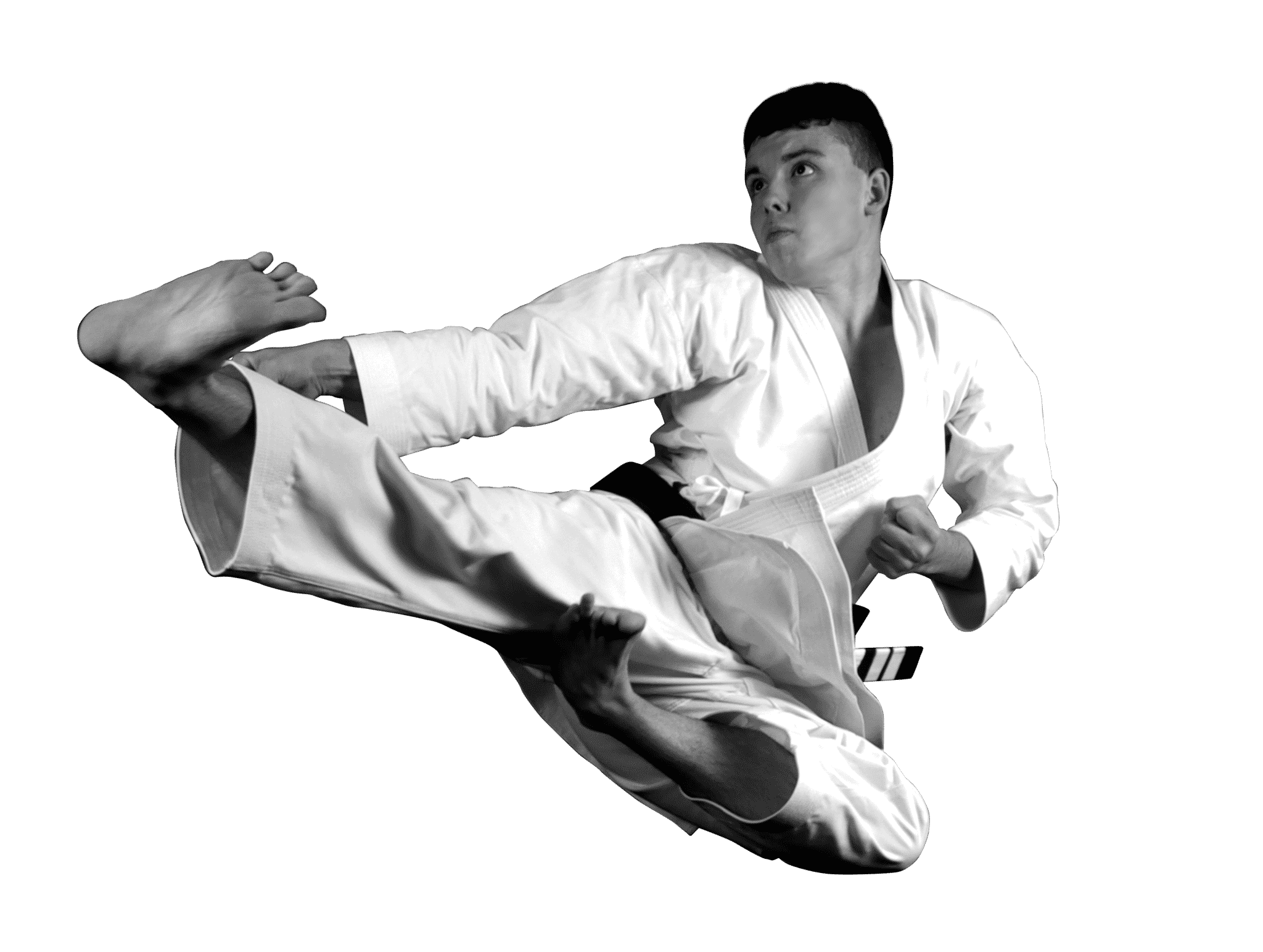 Joe Goss Karate