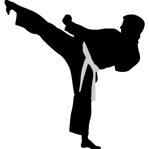 karate-highkick-icon